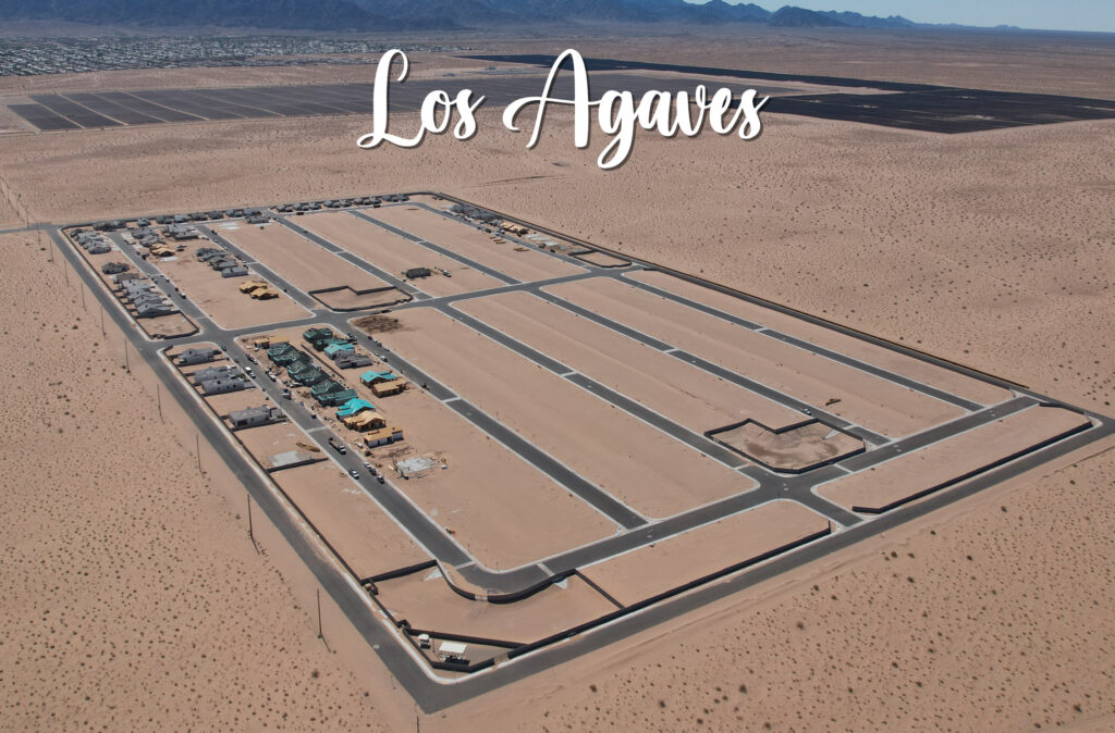 Los Agaves