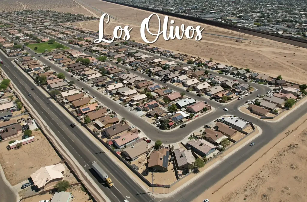 Los Olivos